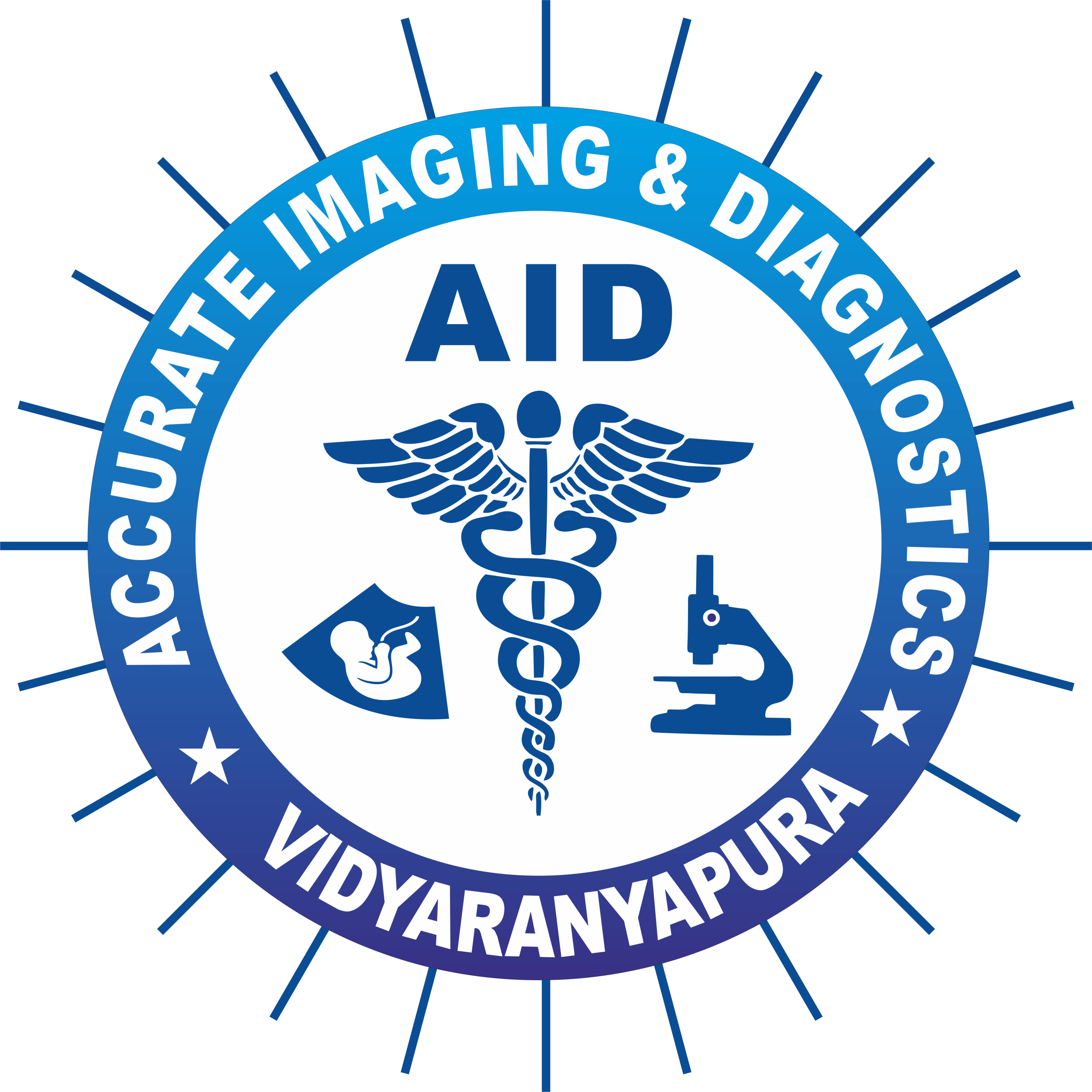Accurate-logo